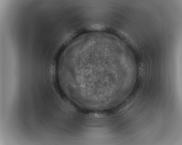 X0000112350739200908271232