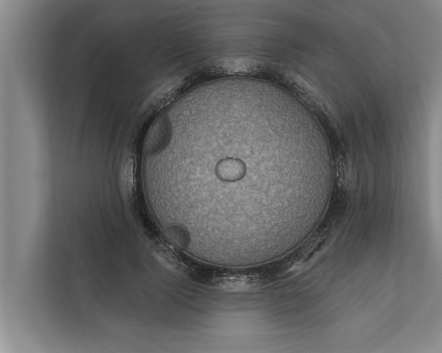 X0000112350740200908271232