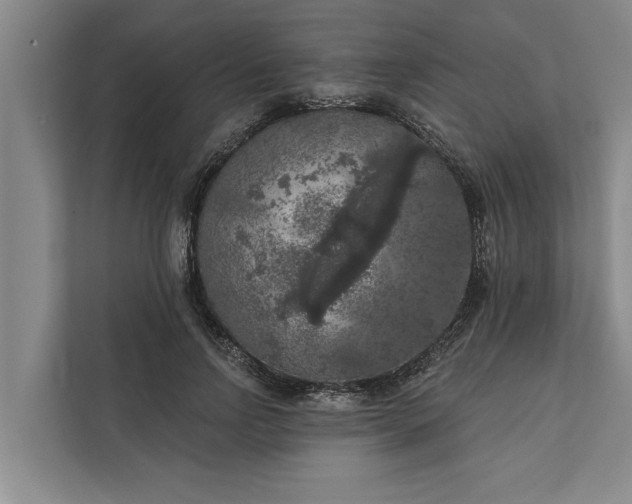 X0000112350742200908271232