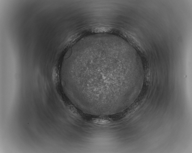 X0000112350743200908271232