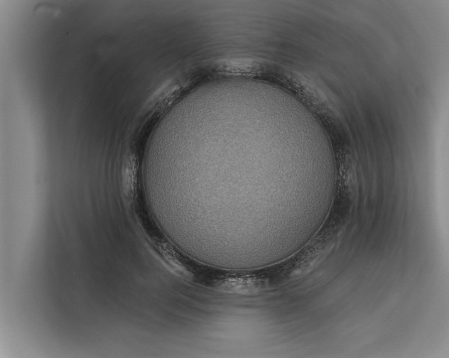 X0000112350744200908271232