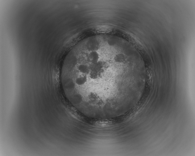 X0000112350745200908271232