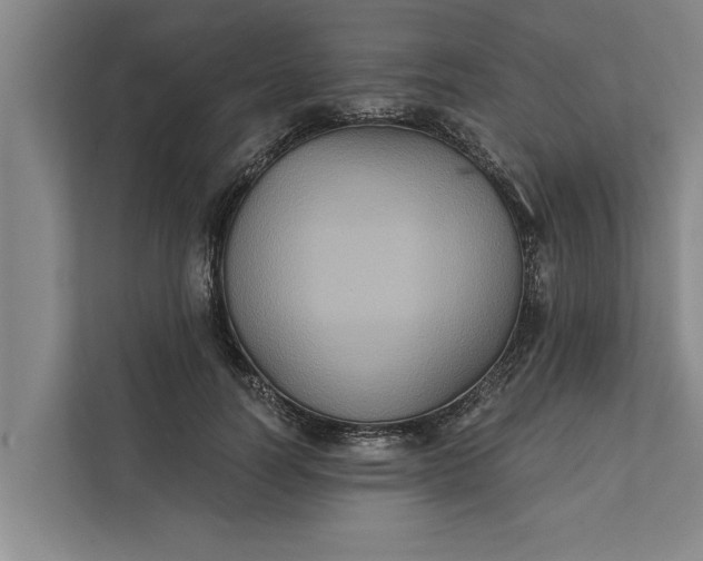 X0000112350746200908271232