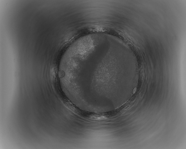 X0000112350747200908271232