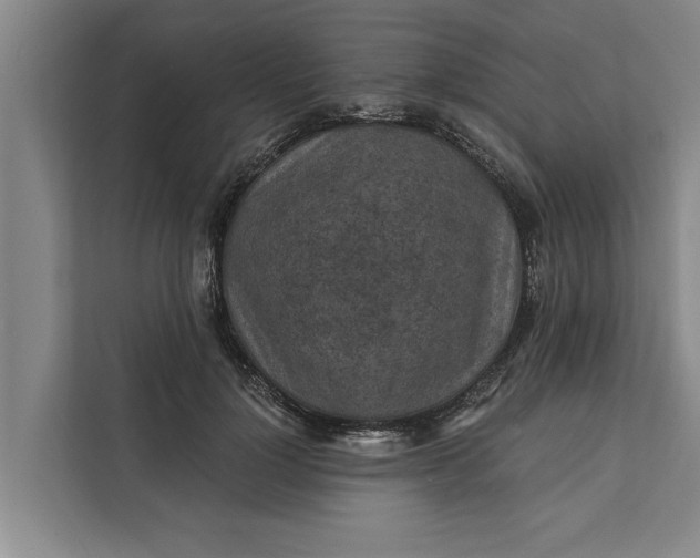 X0000112350748200908271232