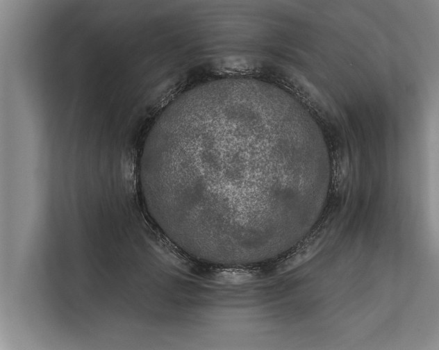 X0000112350749200908271232