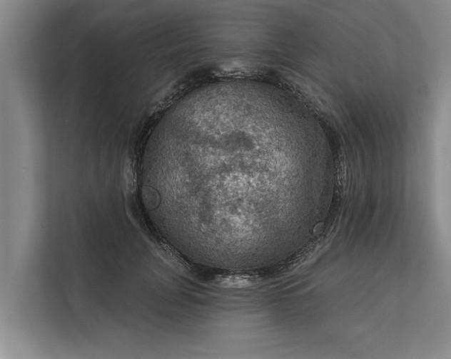 X0000112350751200908271232