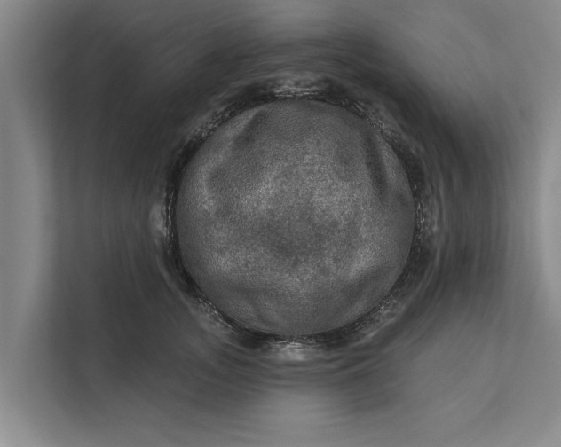 X0000112350755200908271233