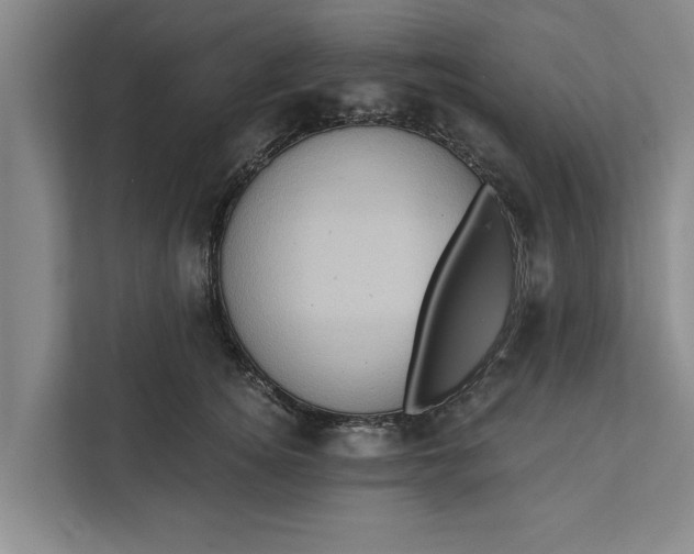 X0000112350756200908271233