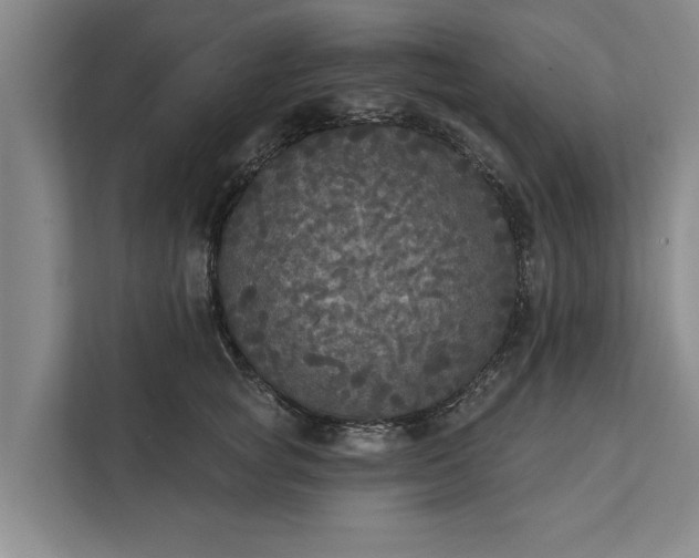 X0000112350757200908271233