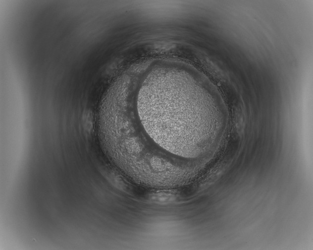 X0000112350758200908271233