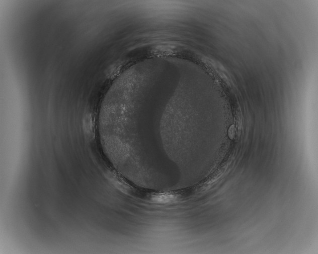 X0000112350759200908271233