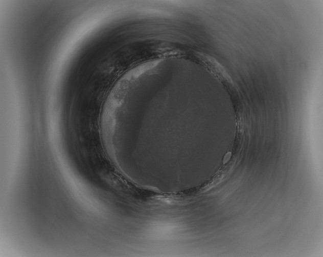 X0000112350763200908271233