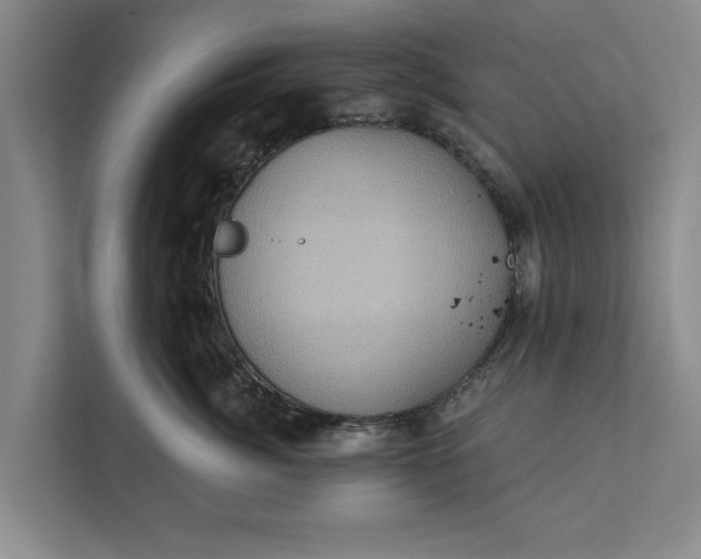 X0000112350764200908271233