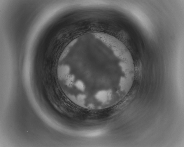 X0000112350765200908271233