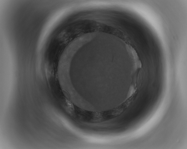 X0000112350766200908271233