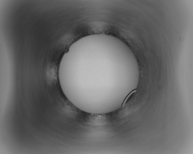 X0000112350768200908271233