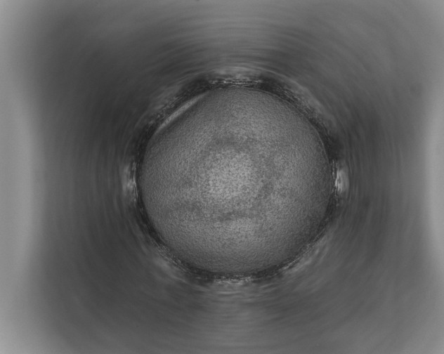 X0000112350771200908271232