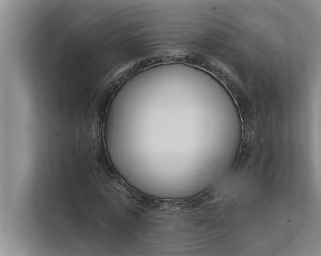 X0000112350773200908271232