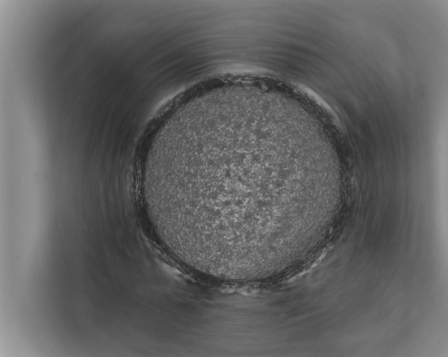 X0000112350775200908271232