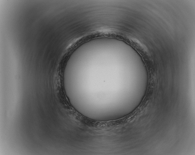 X0000112350776200908271232