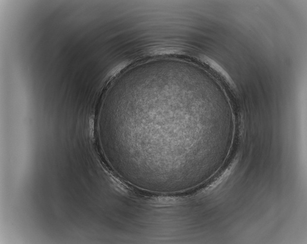 X0000112350777200908271232