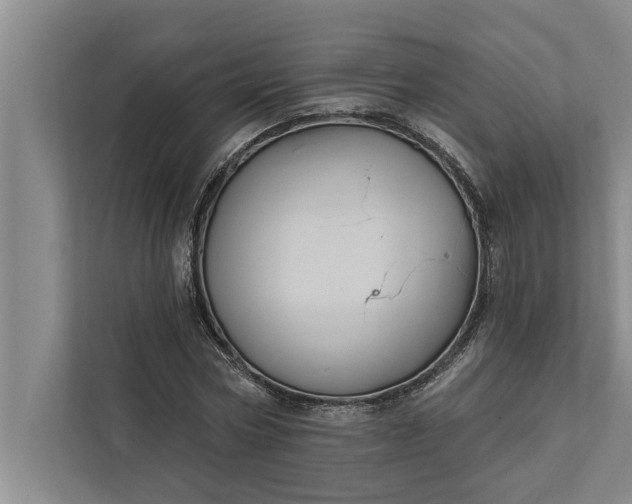 X0000112350778200908271232