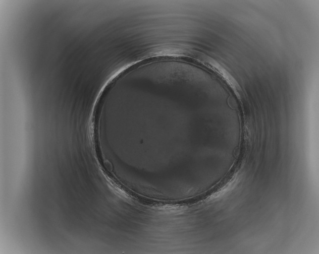 X0000112350779200908271232