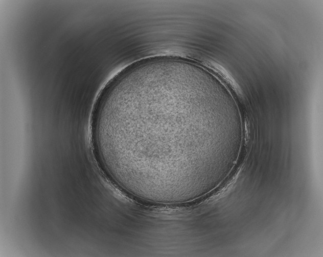 X0000112350780200908271232