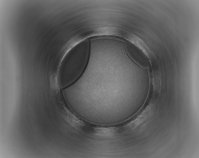 X0000112350781200908271232