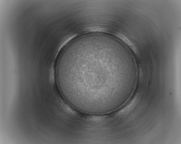 X0000112350782200908271232