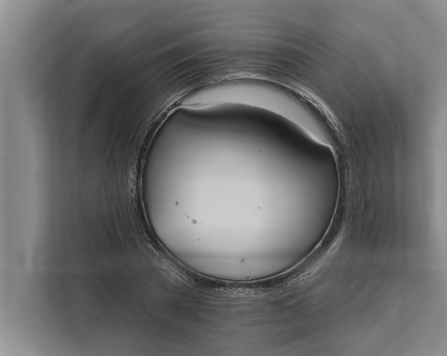 X0000112350785200908271232