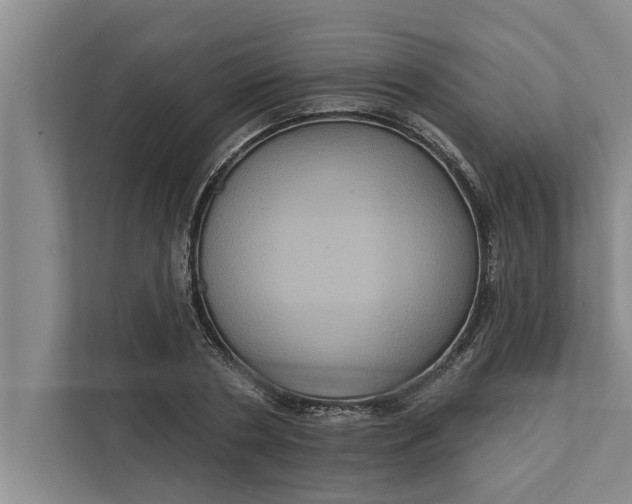 X0000112350786200908271232