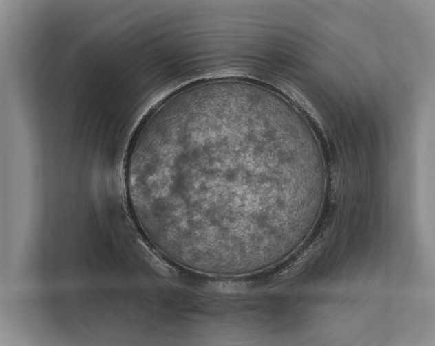 X0000112350789200908271232