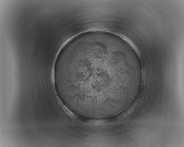 X0000112350791200908271232