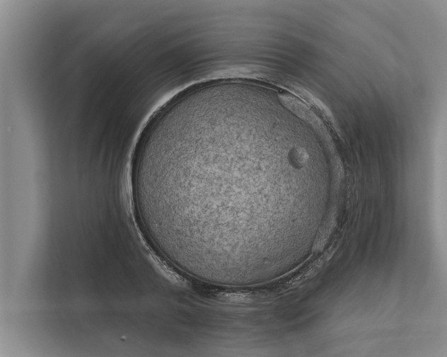 X0000112350792200908271232