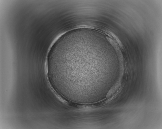 X0000112350796200908271232