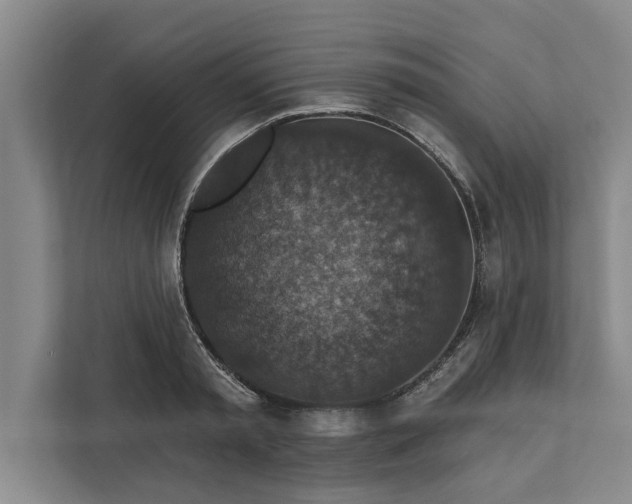 X0000112350797200908271232