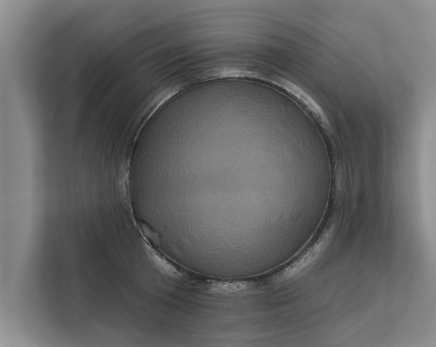 X0000112350801200908271232