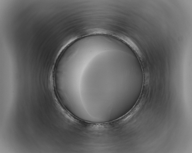 X0000112350806200908271232