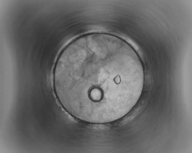 X0000112350807200908271232