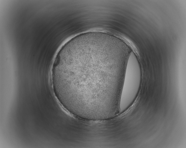 X0000112350808200908271232