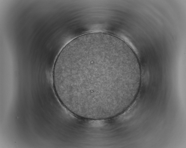 X0000112350810200908271232