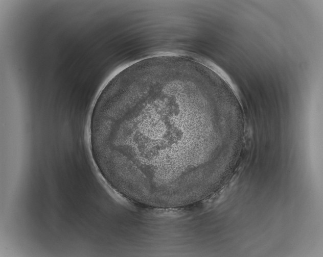 X0000112350811200908271232