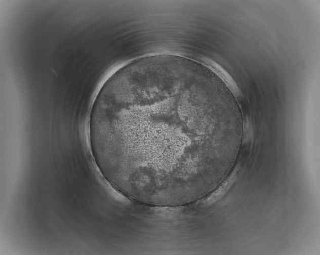 X0000112350812200908271232