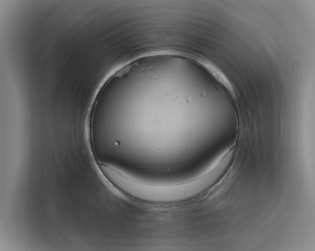 X0000112350813200908271231