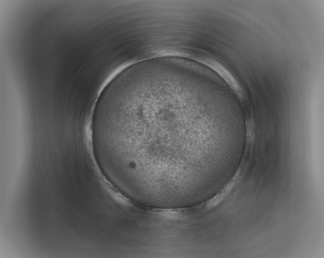 X0000112350814200908271231