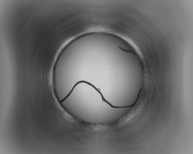 X0000112350815200908271231