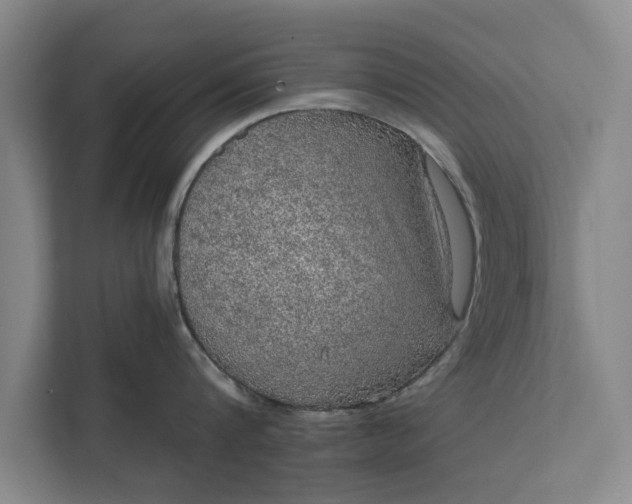 X0000112350816200908271231