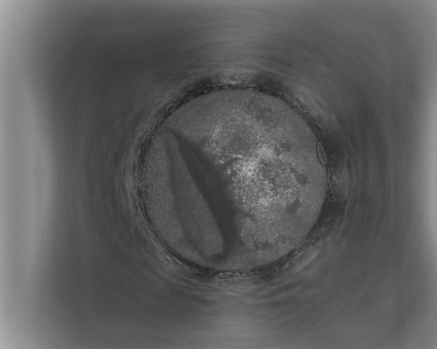 X0000112350817200908271231